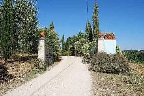Tenuta Il Pino Capannoli 0*,