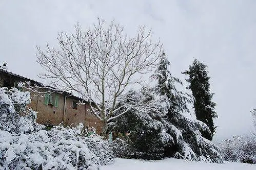 Tenuta Il Pino Capannoli Farm stay