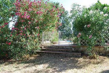 Tenuta Il Pino Capannoli